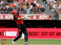 仅为球队注 仅为球队注